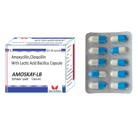 Amoxycillin , Cloxacillin , with Lactic Acid Bacillus Capsules Manufacturer